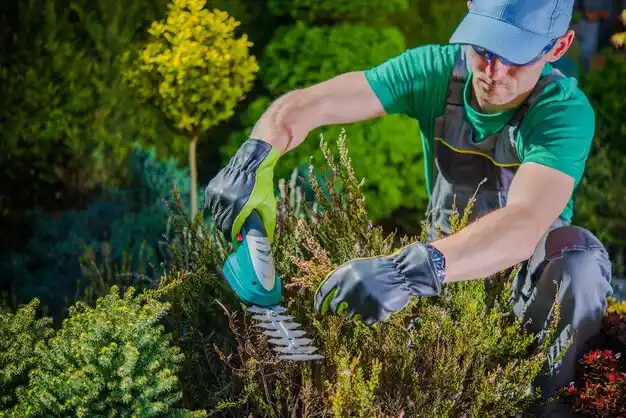 landscaping services New Waterford